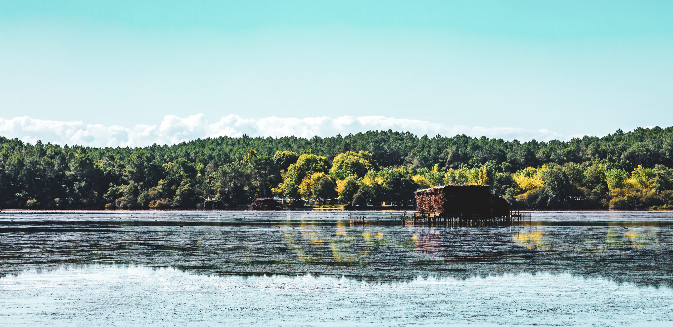 Découverte de la forêt et des étangs à Seignosse