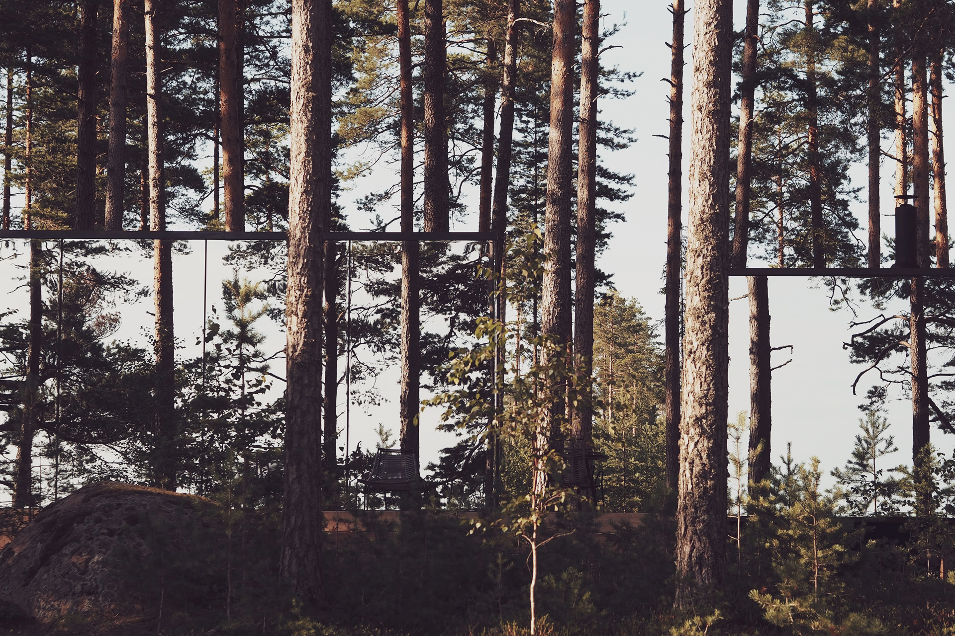 Waldblick vom Miroir Ööd in Seignosse, Landes