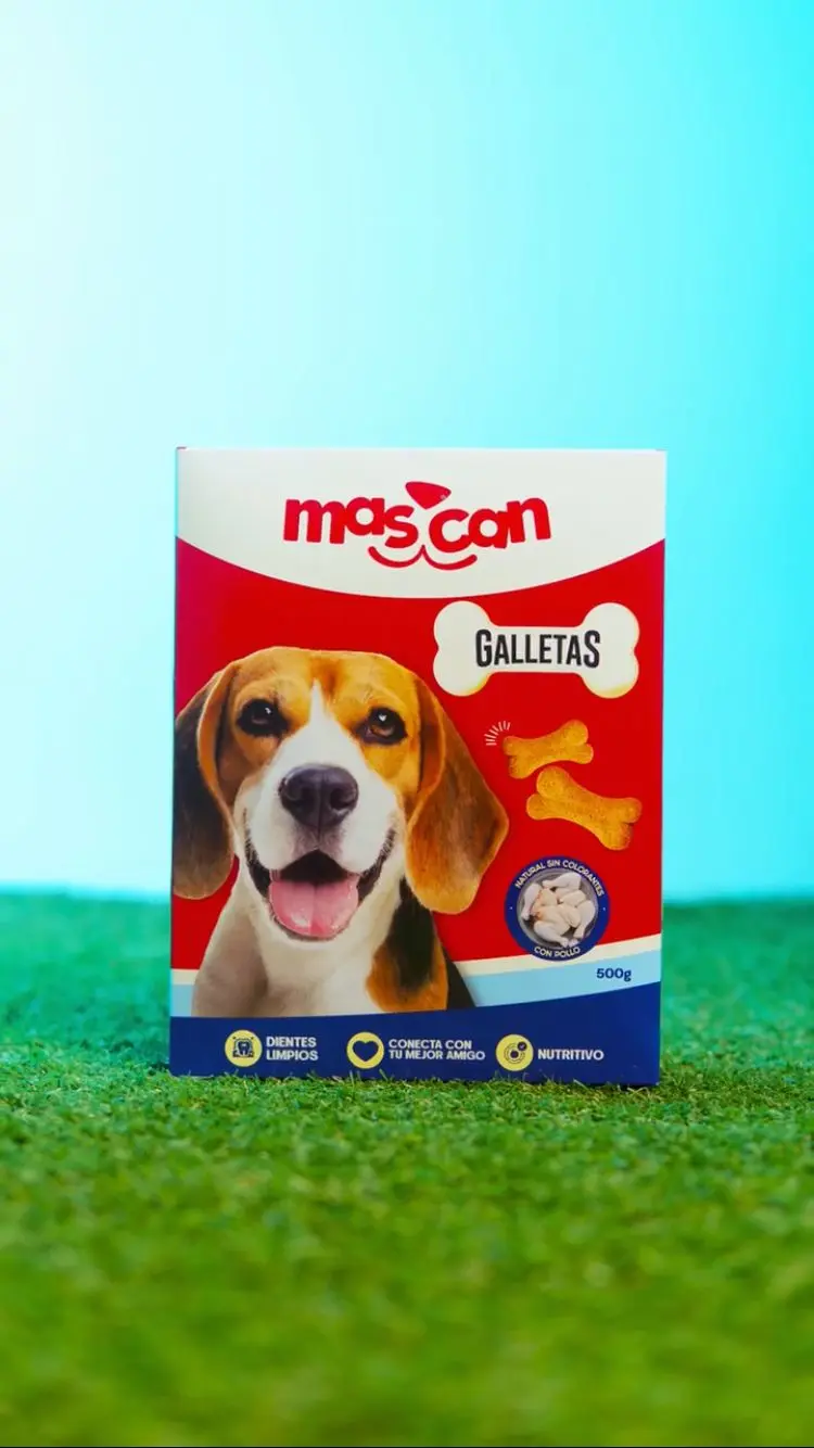 Explora nuestro dinámico feed de Instagram en "Somos": Mascan lidera la innovación en productos masticables para perros, ofreciendo galletas, masticables cárnicos, snacks deshidratados, treats y líneas especializadas para perros Mini, Pequeños, Medianos y Grandes.