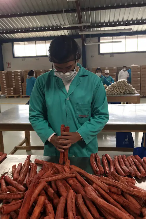 Descubre Mascan, donde la innovación se une con el sabor en productos masticables para perros: galletas, masticables con cárnicos, snacks deshidratados, treats y masticables especializados para perros Mini, Pequeños, Medianos y Grandes.
