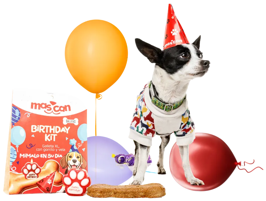 Imagen del Hero en Mascan: descubre cómo nuestra fábrica líder en productos masticables para perros impulsa el bienestar canino con galletas, masticables cárnicos, snacks deshidratados y treats, adaptados a perros Mini, Pequeños, Medianos y Grandes.