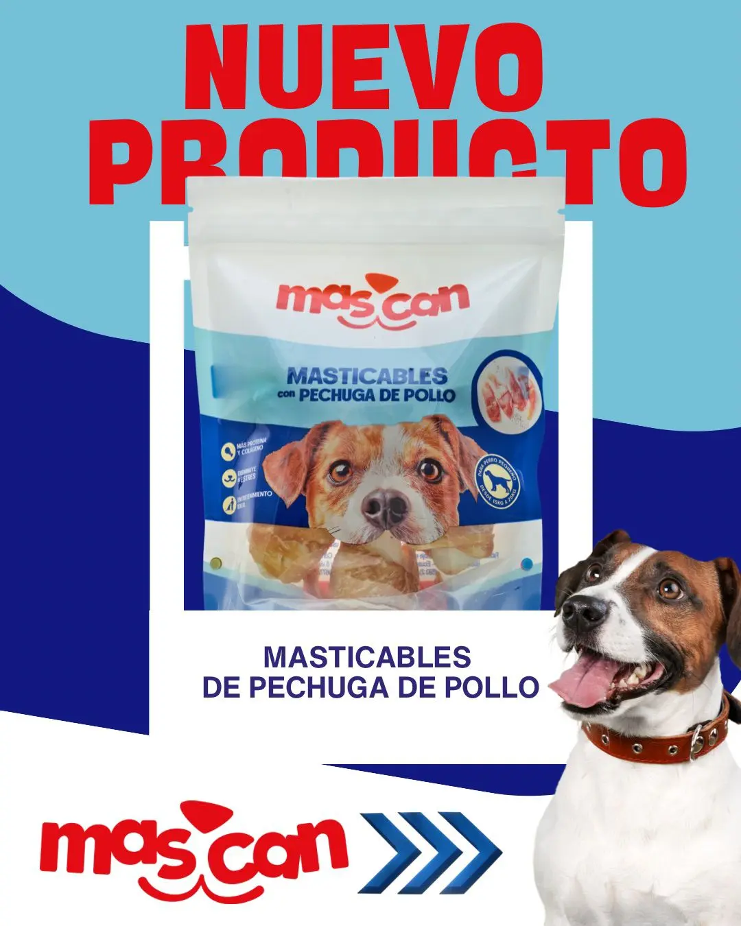 Imagen del feed de Instagram en la landing page de Mascan.