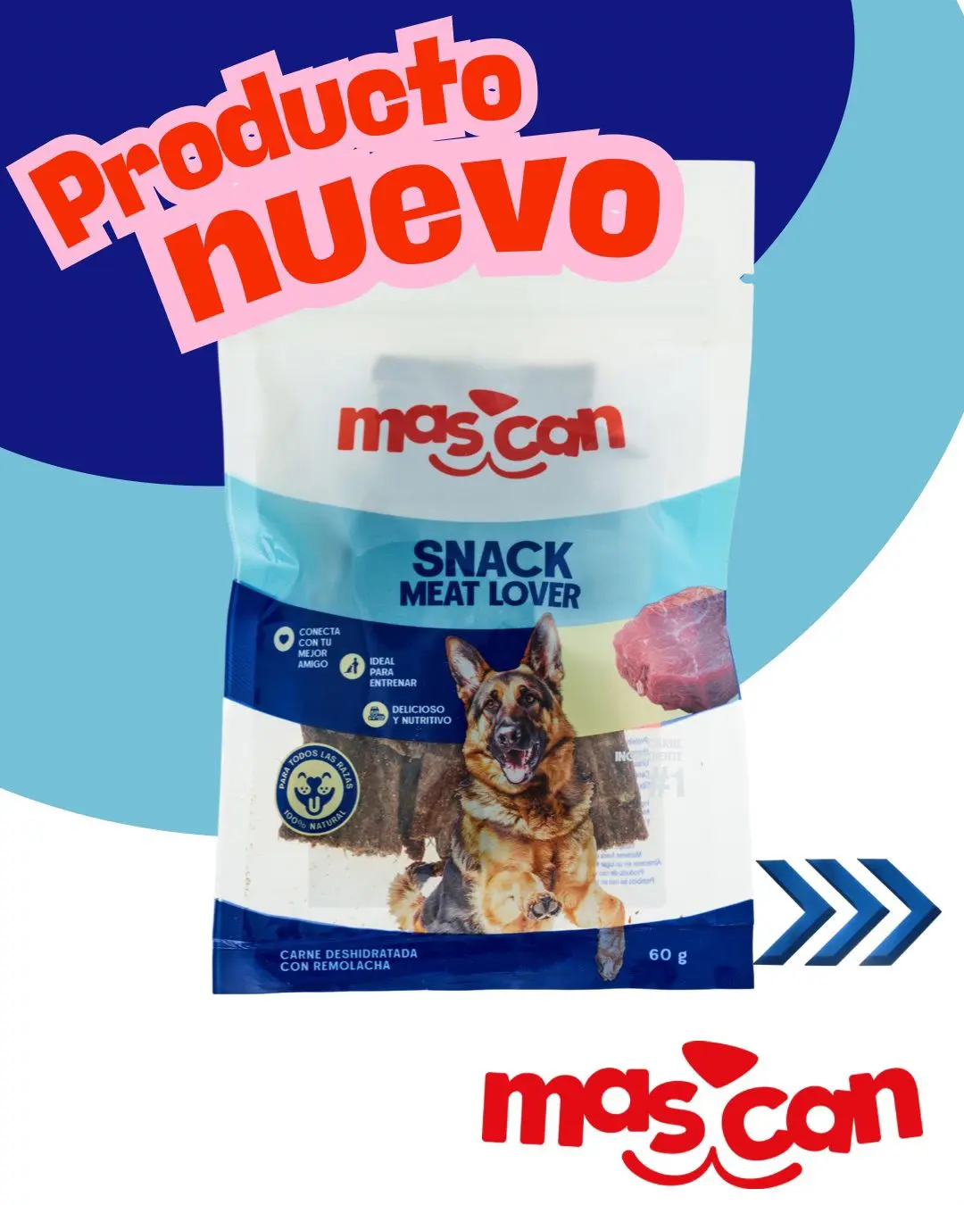Imagen del feed de Instagram en la landing page de Mascan.