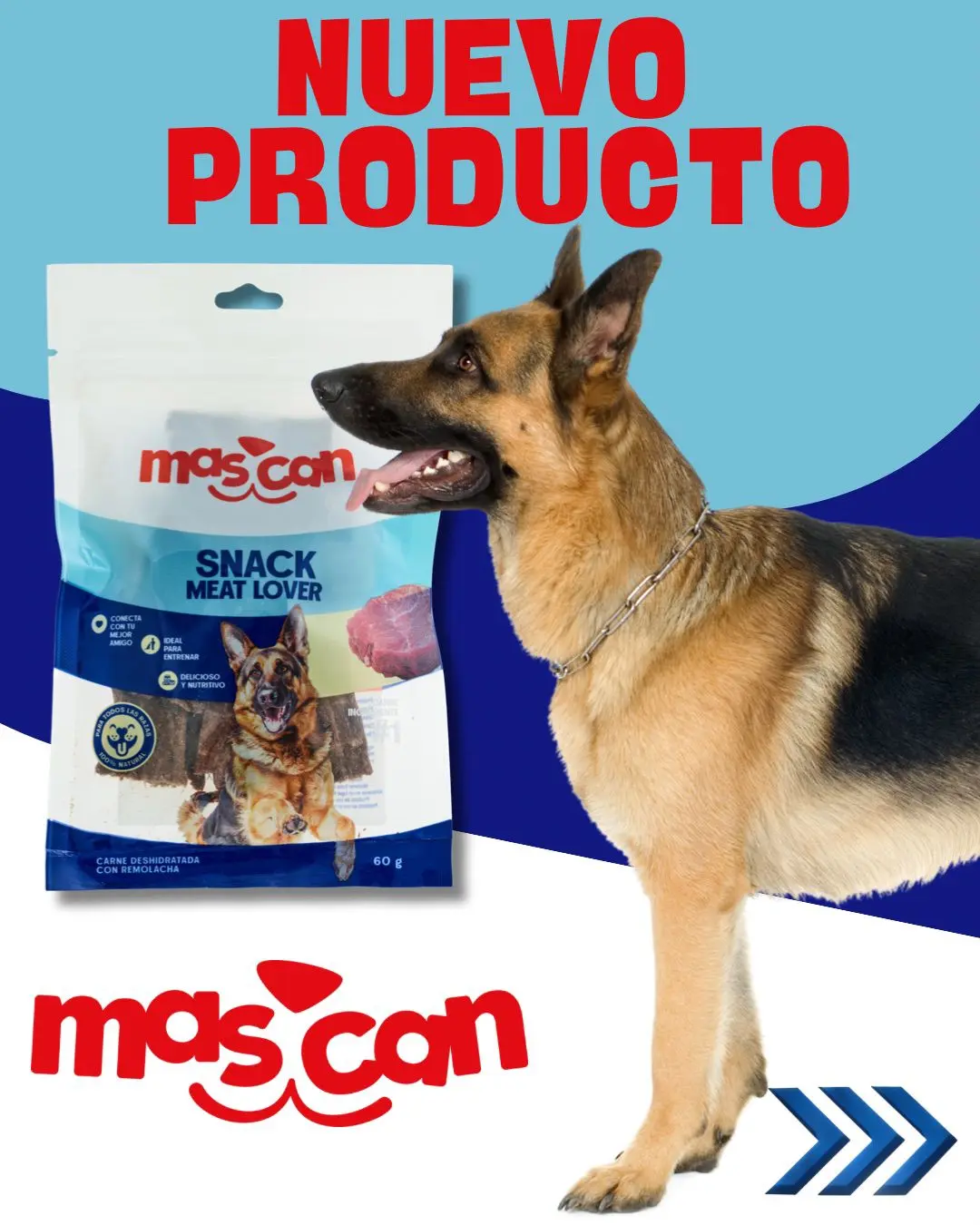 Imagen del feed de Instagram en la landing page de Mascan.