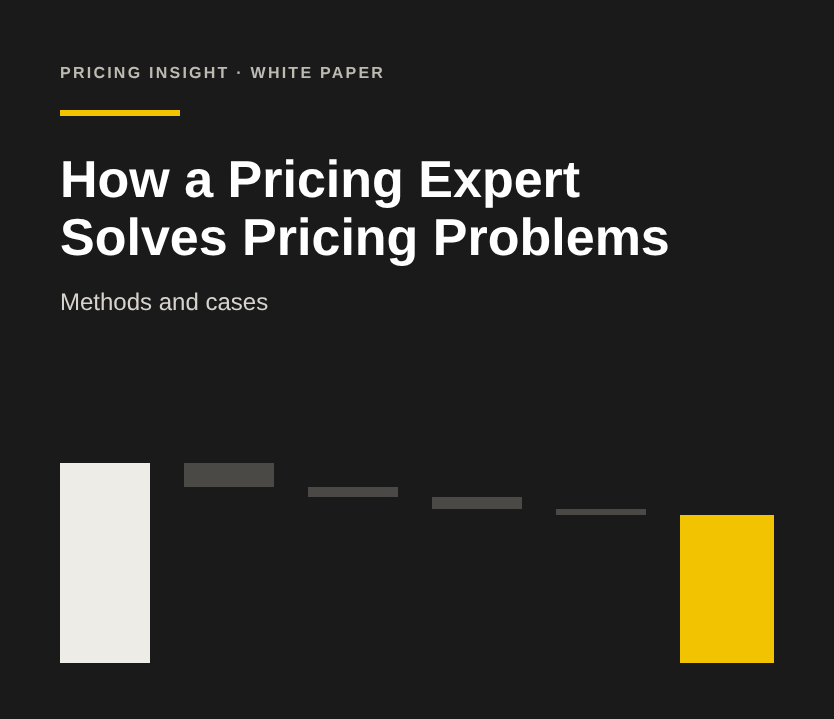 How a Pricing Expert Solves Pricing Problems