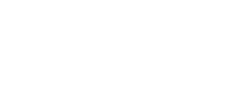 illustrated schematic side profile of the Skyraider