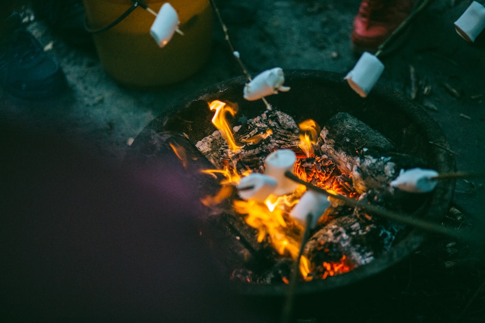 reglamento de un Summer Camp