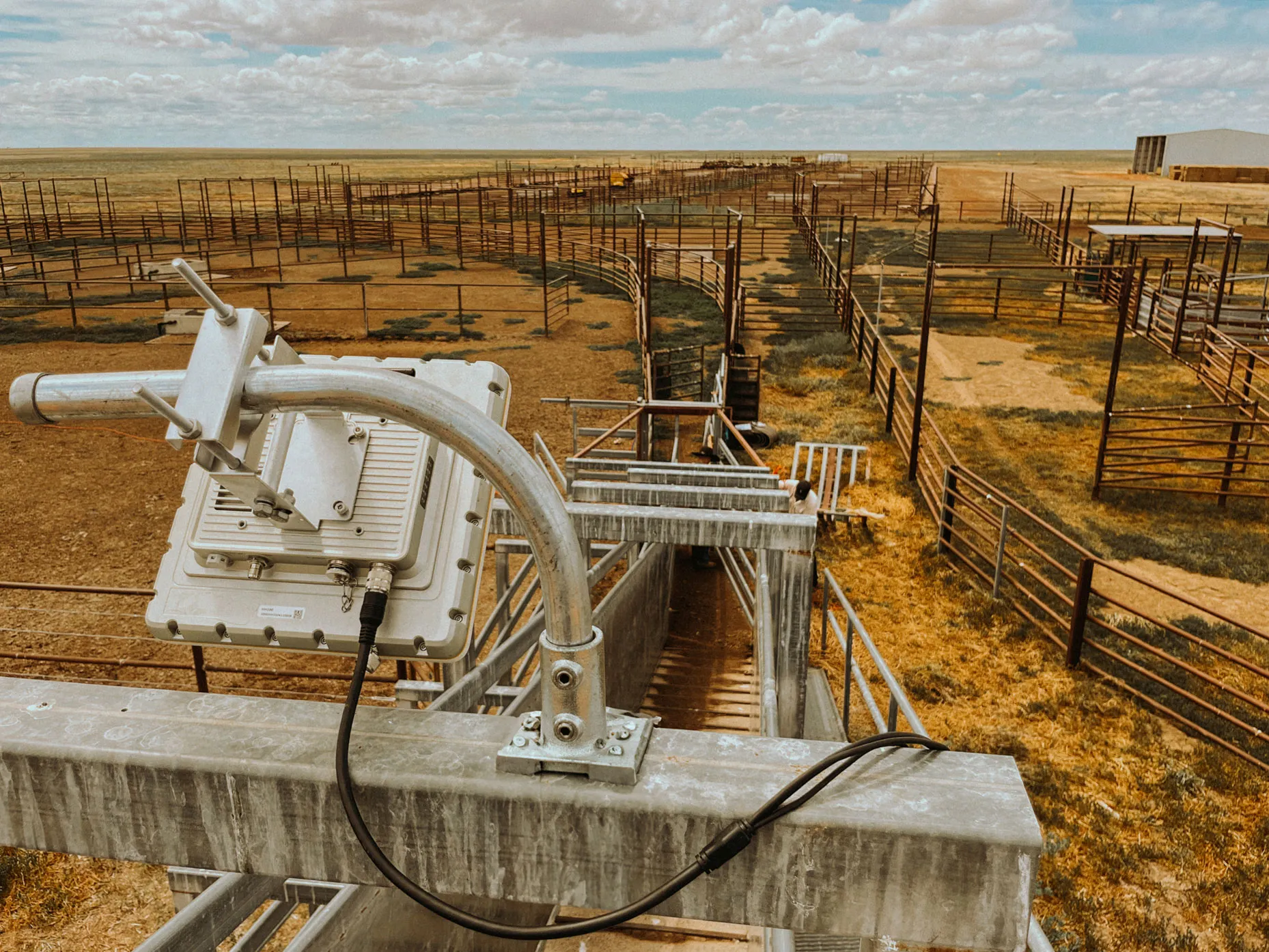UTAGS BTR2000 Bluetooth reader installed at livestock raceway for tag scanning