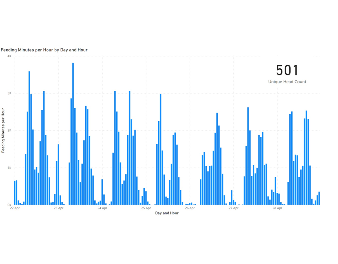 Bar chart showing feeding minutes per hour from April 22 to April 28 with peaks mostly over 3000 minutes, and a unique head count of 501 displayed on the right.