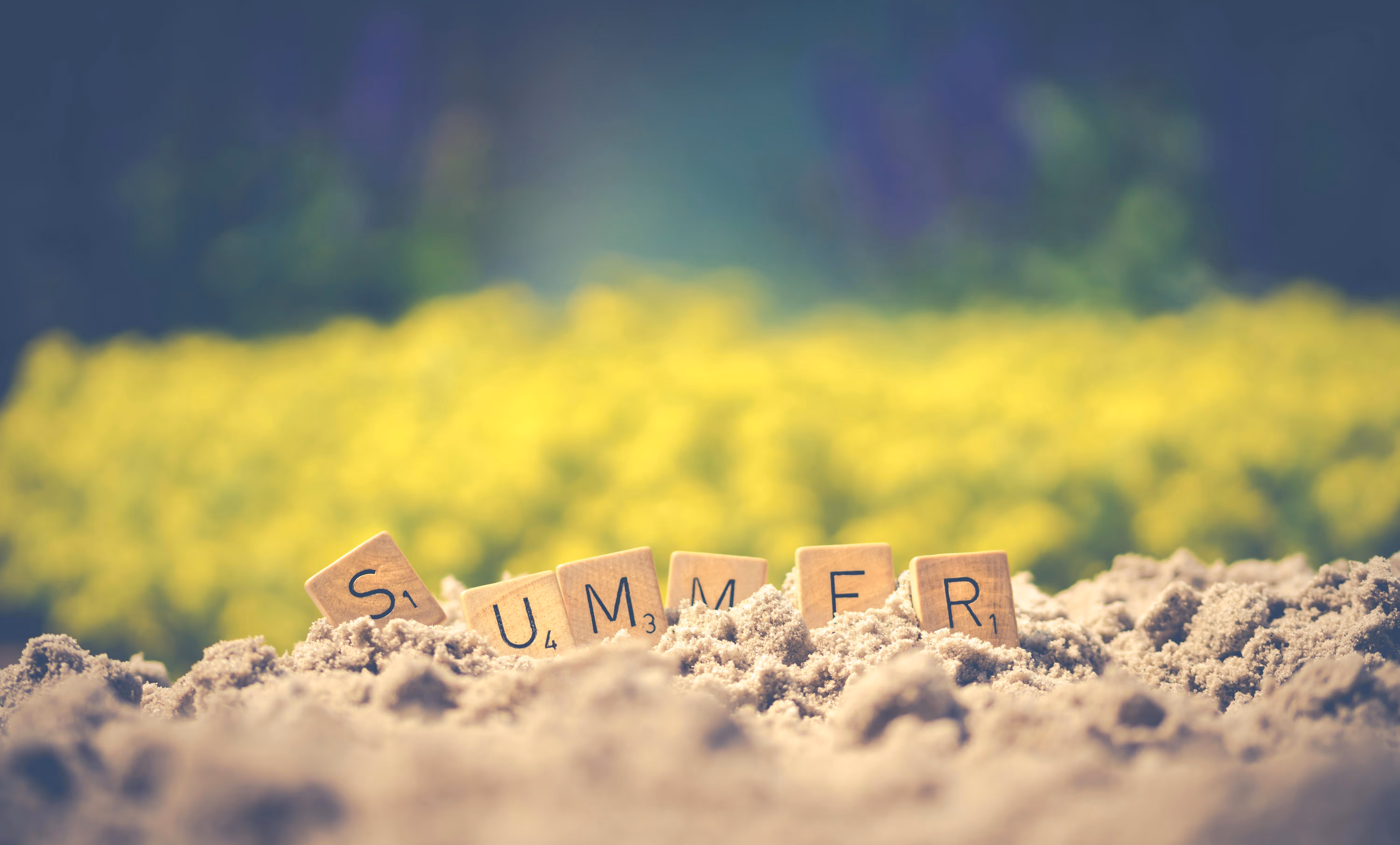 Top Summer Home Design Trends 