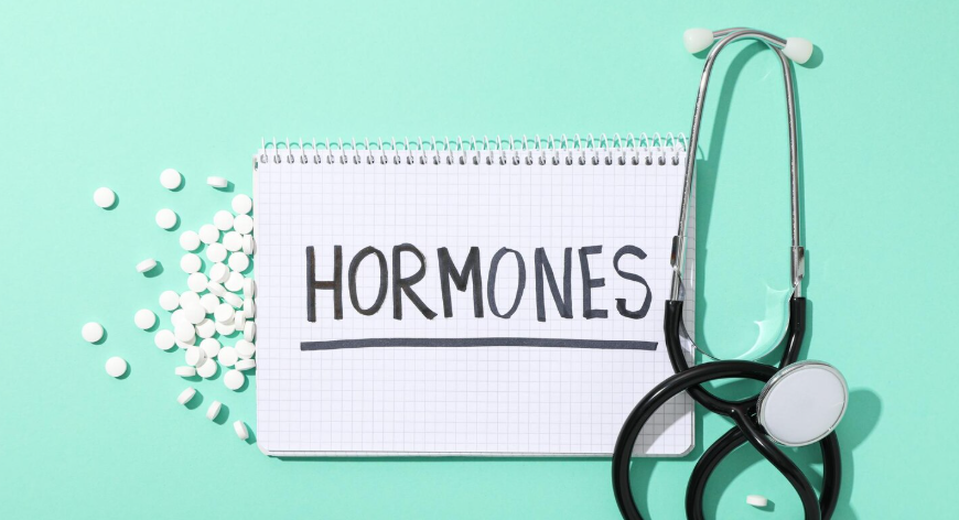 primary care doctors jacksonville fl