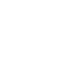 SOC 2 TYPE 2 CEFRIFIED Logo