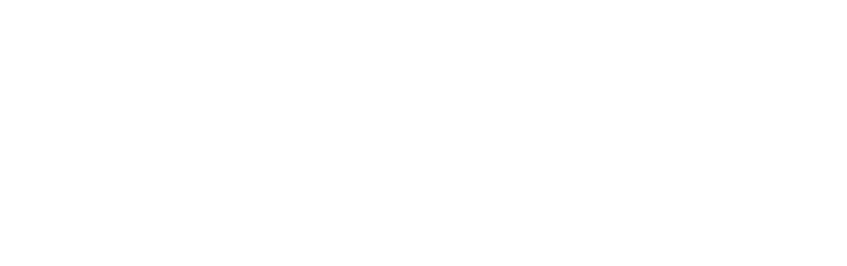 BRIGHTskills Homepage