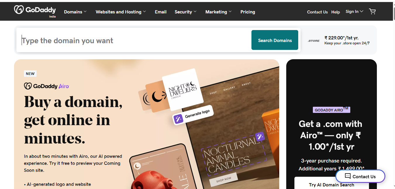 GoDaddy home page