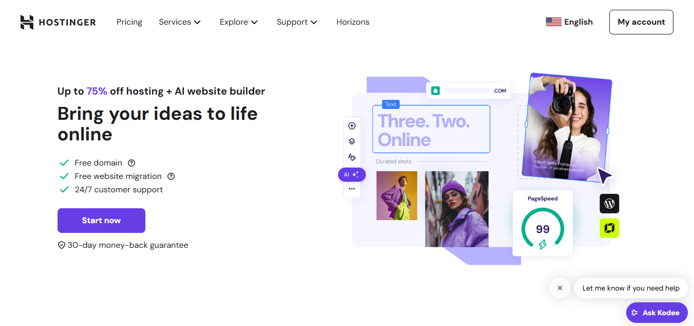 Hostinger home page