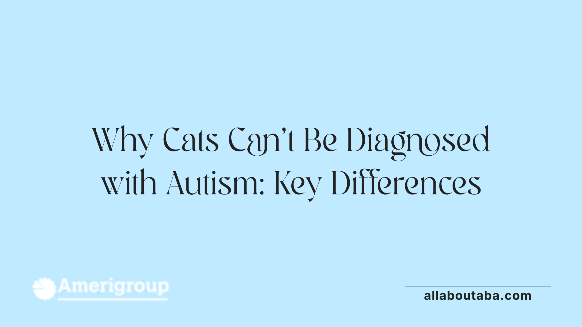 Why Cats Can't Be Diagnosed with Autism: Key Differences