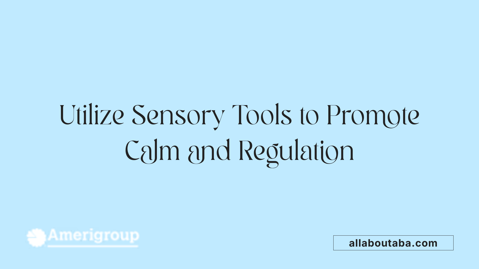 Utilize Sensory Tools to Promote Calm and Regulation