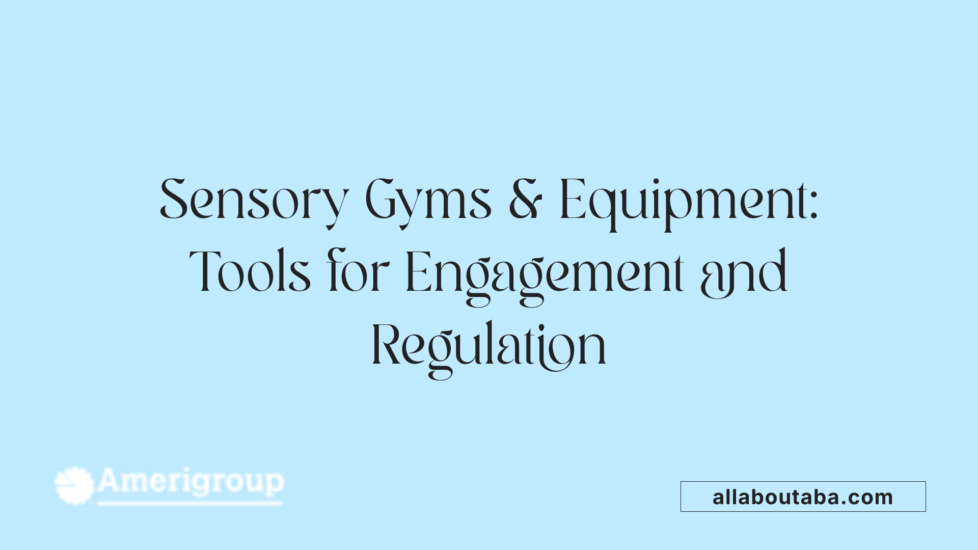 Sensory Gyms &amp; Equipment: Tools for Engagement and Regulation