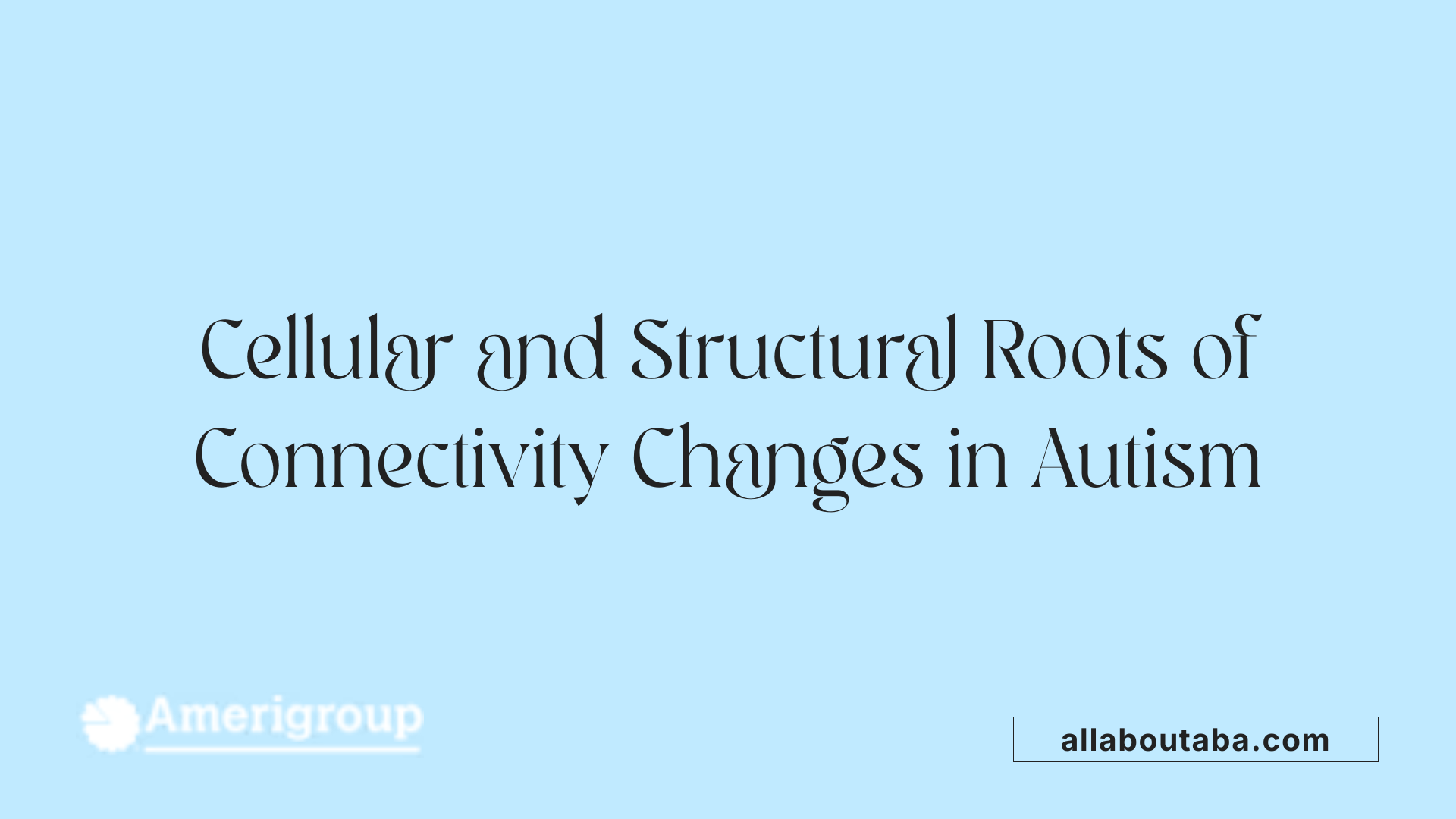 Cellular and Structural Roots of Connectivity Changes in Autism