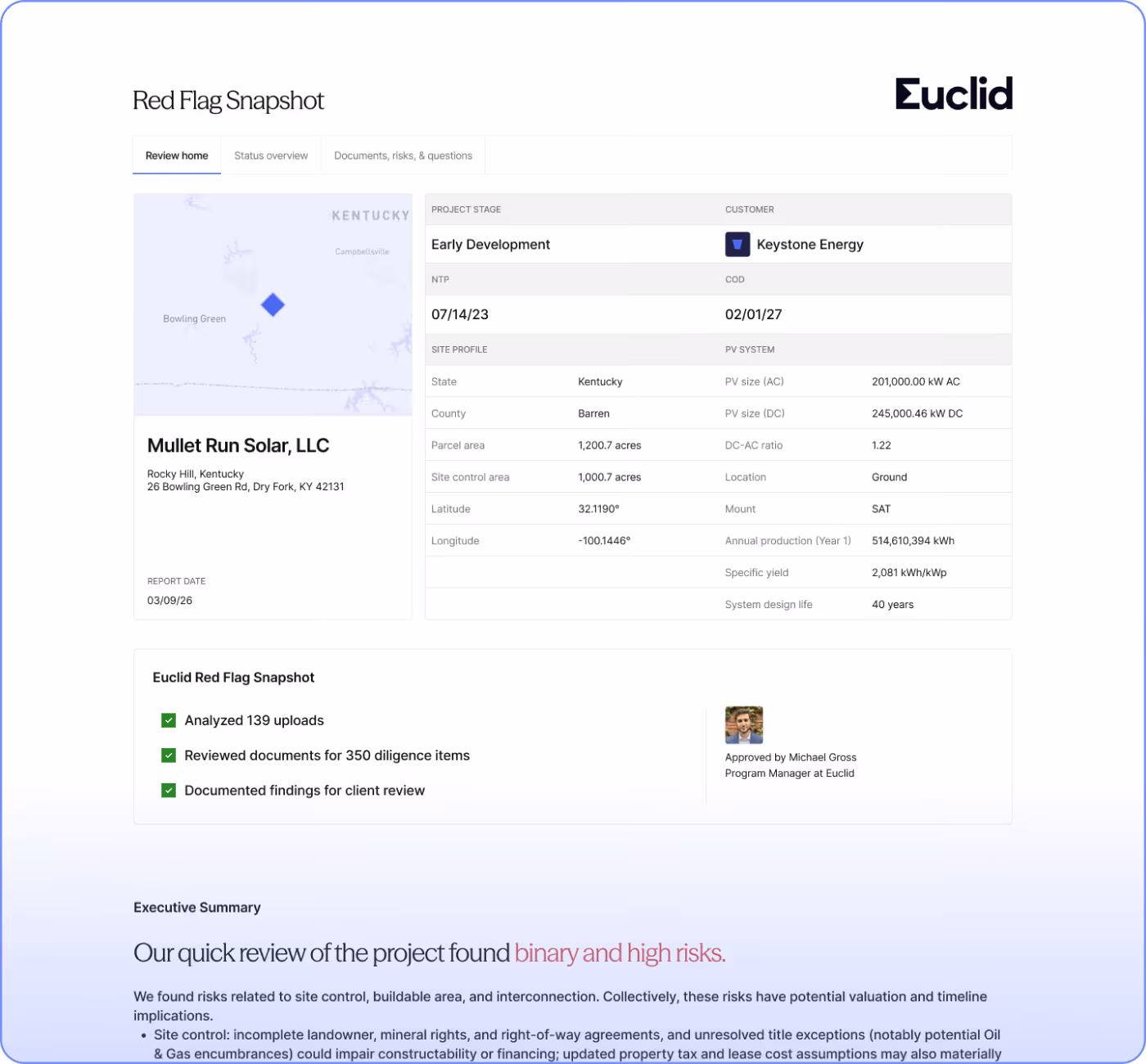 Red flag snapshot preview example
