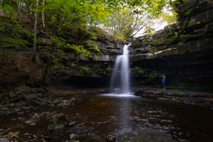 bowlees