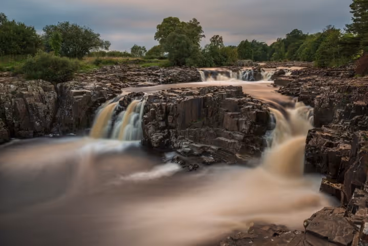 Low Force