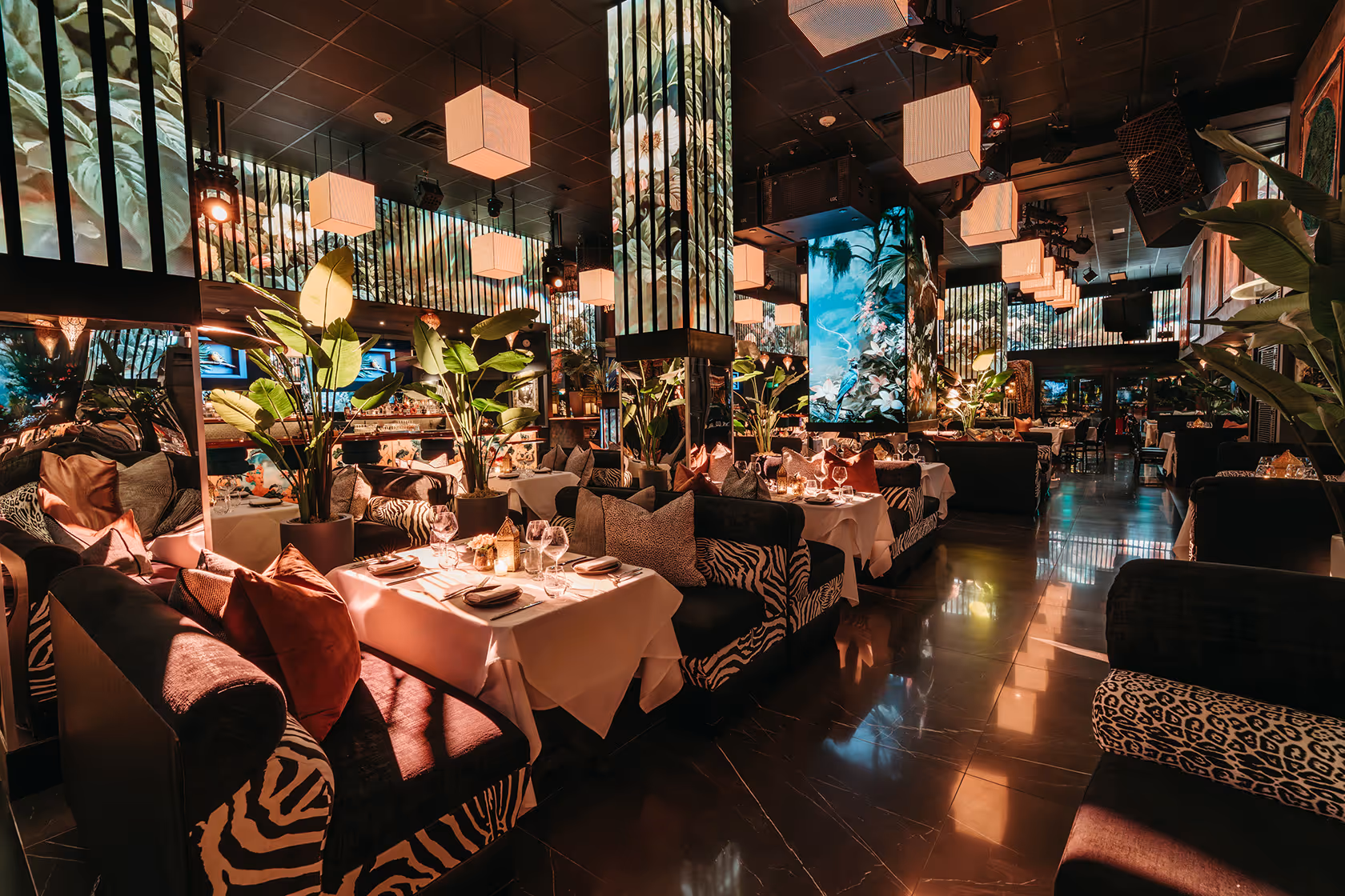 Kali Dining Room elegant interior at Mango's Orlando