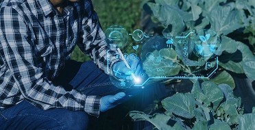 Comprehensive IT Solutions for Modern Businesses