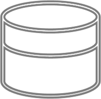 Core Capabilities and Technology Delivered