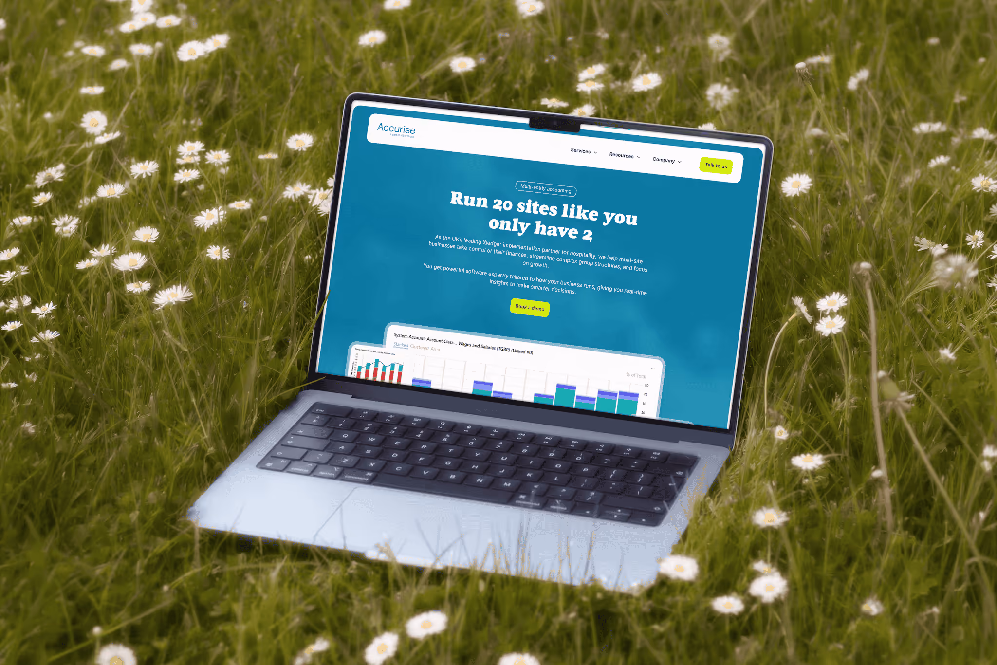 Open laptop with website on multi-site business software on a grass field with daisies.