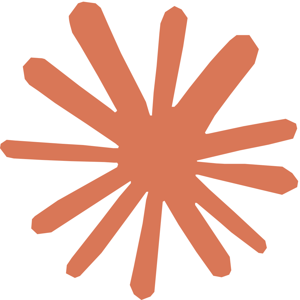 Abstract orange starburst shape with twelve elongated rounded arms radiating from the center.