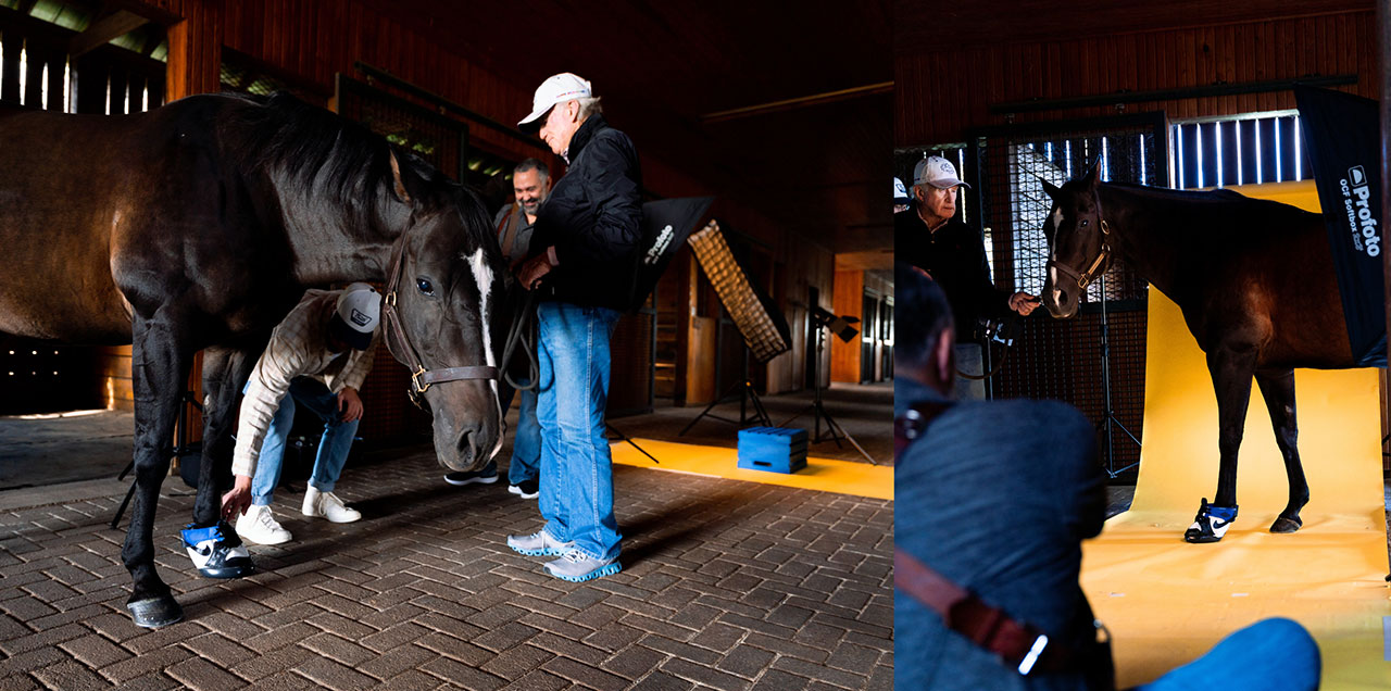 Horse Kicks Photoshoot image three