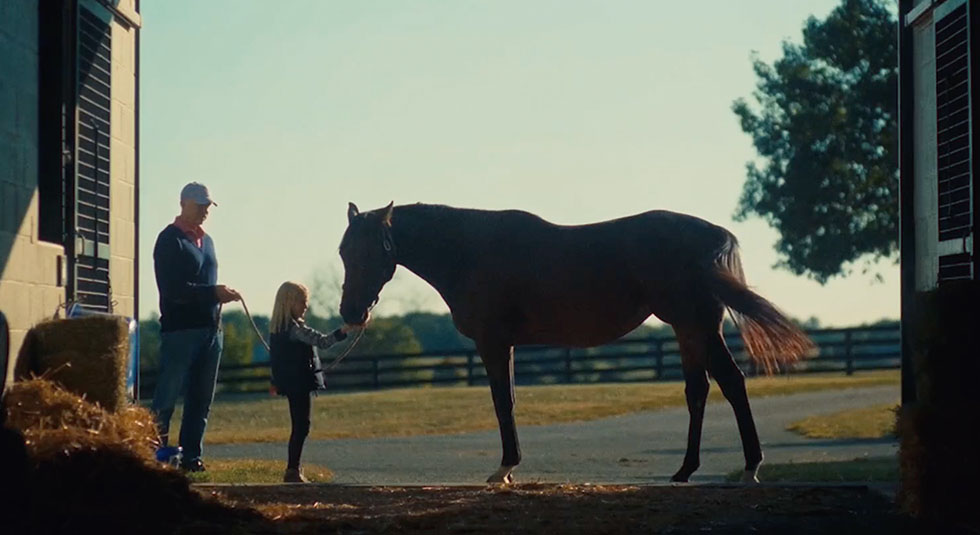 Girl petting a horse inside barn