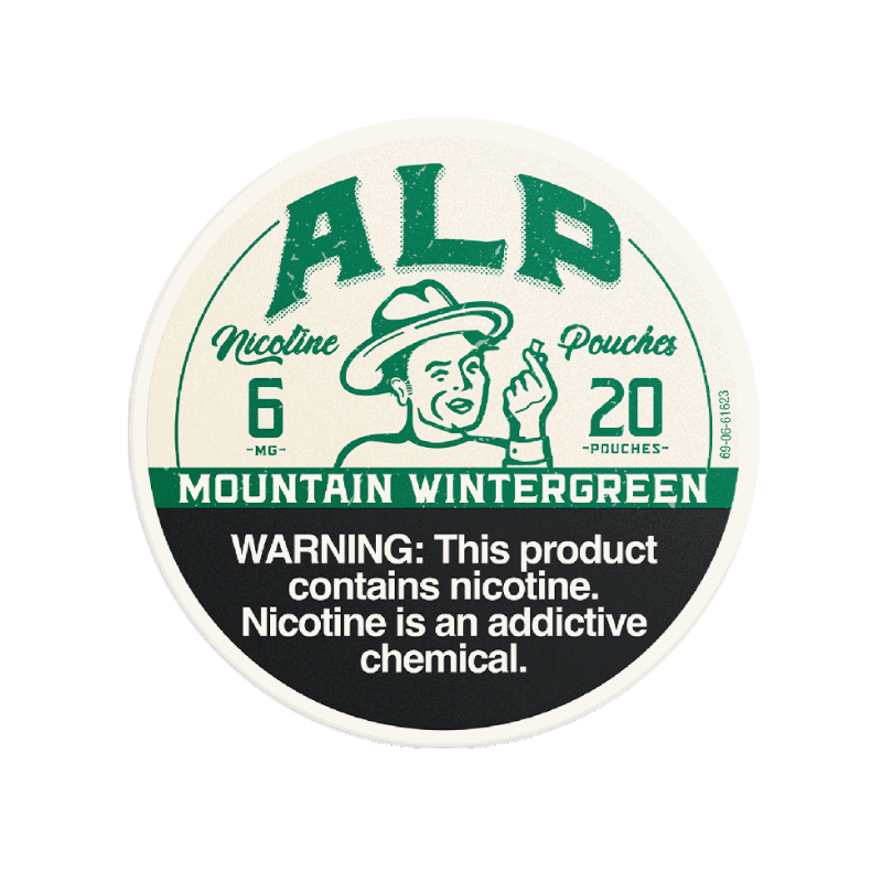 ALP POUCHES 6MG MOUNTAIN WINTERGREEN - 6996