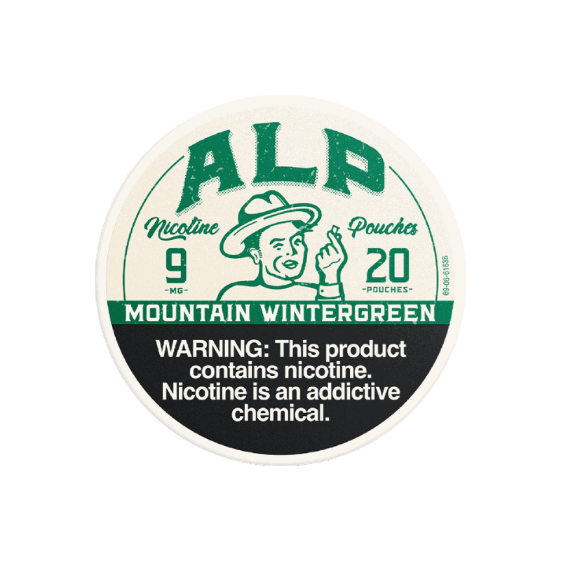 ALP POUCHES 9MG MOUNTAIN WINTERGREEN - 6999