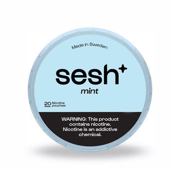 SESH POUCH 5CT 6MG - Mint - 7700