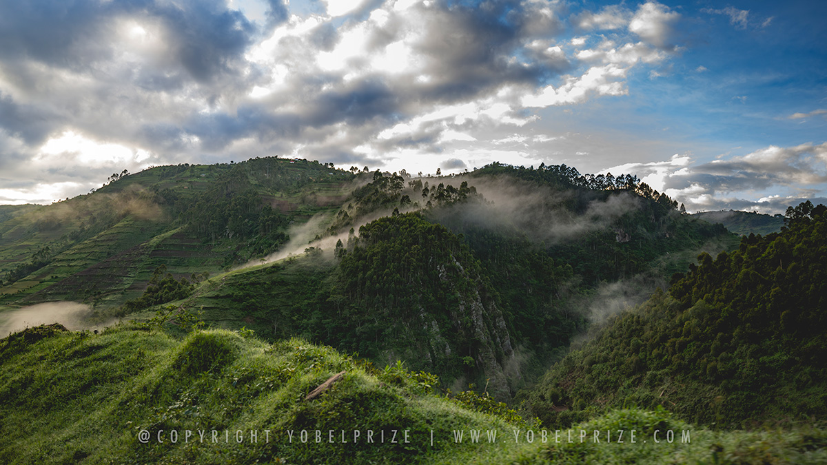Scenic view of rolling hills and lush green landscapes enveloped in morning mist near Bwindi, Uganda.