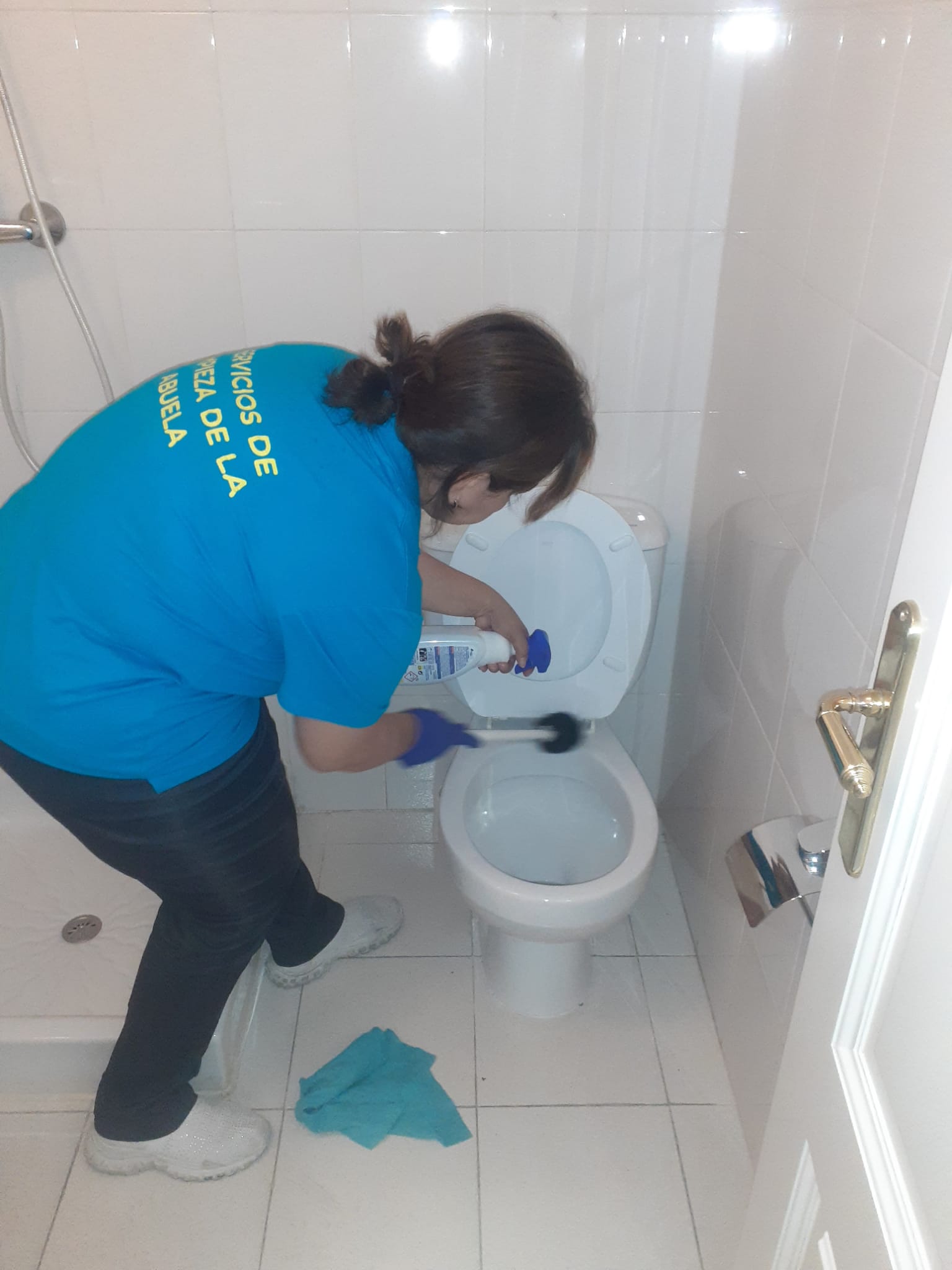Servicios de limpieza de la abuela