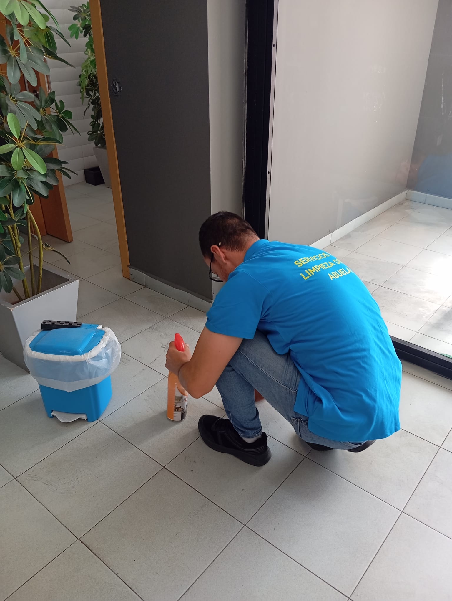 Servicios de limpieza de la abuela