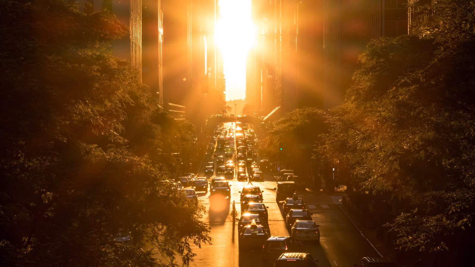 Road at golden hour