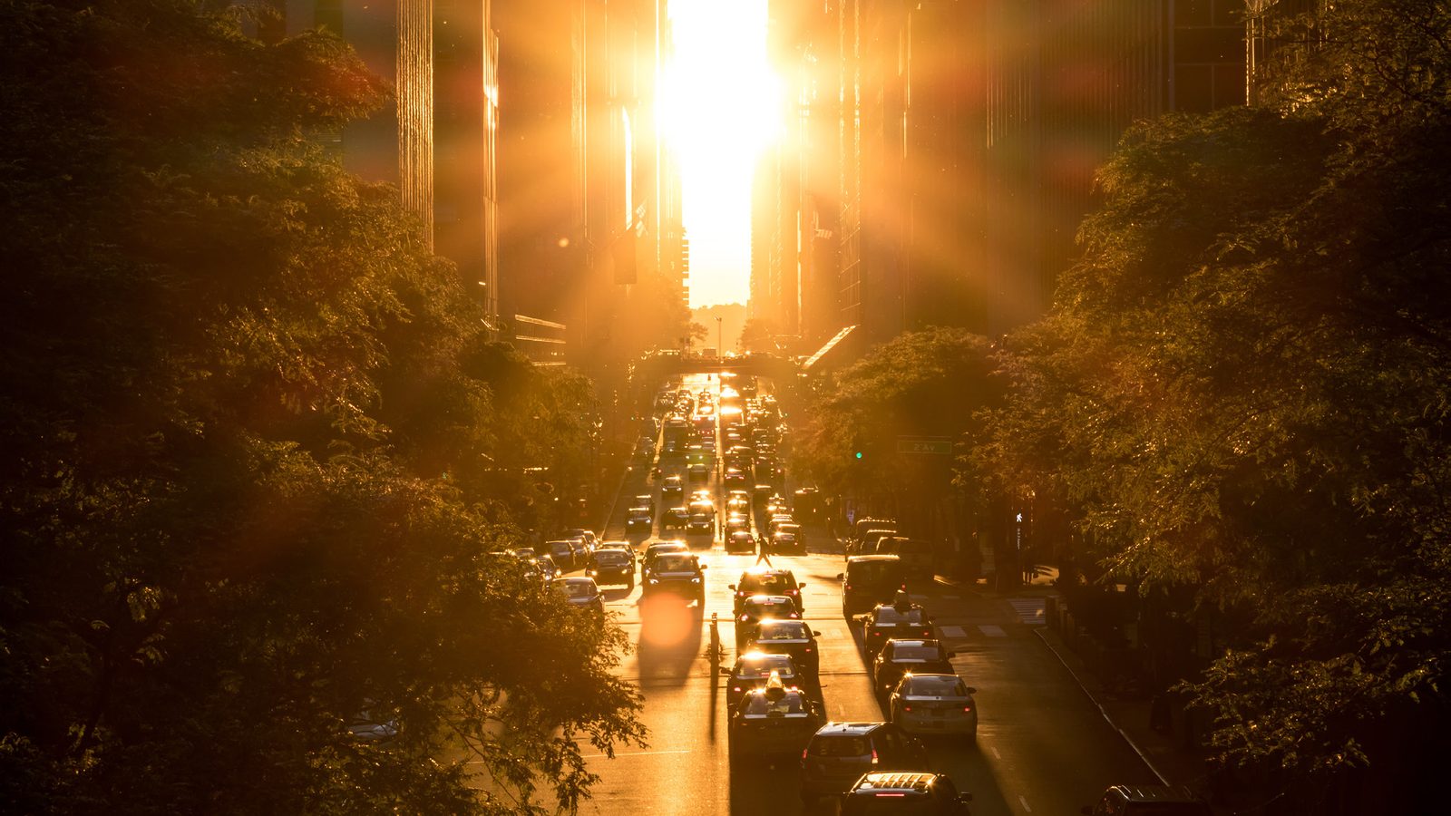 Road at golden hour
