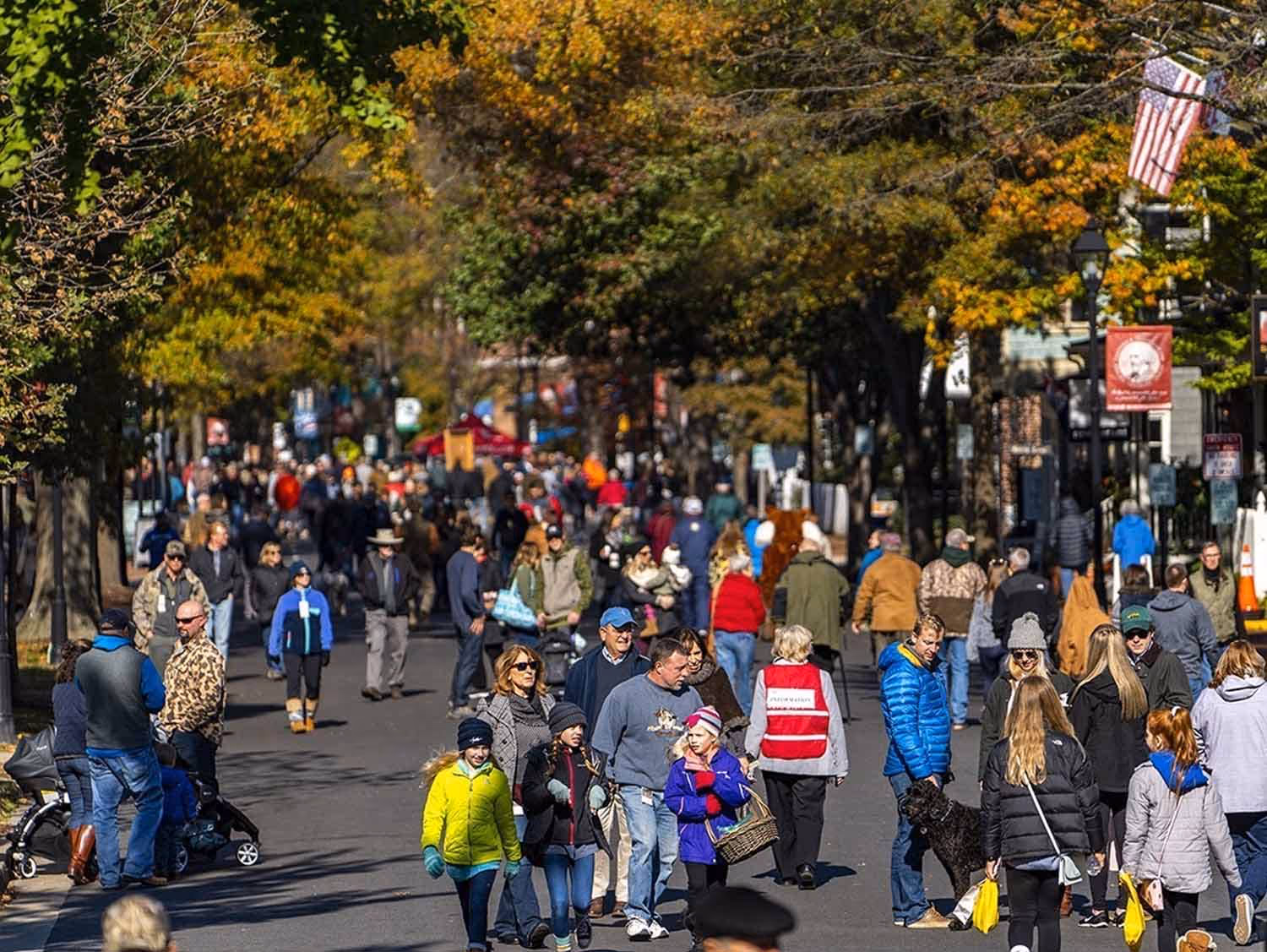 A beloved Eastern Shore tradition since 1971, the Waterfowl Festival in Talbot County celebrates wildlife art, outdoor heritage, and conservation.