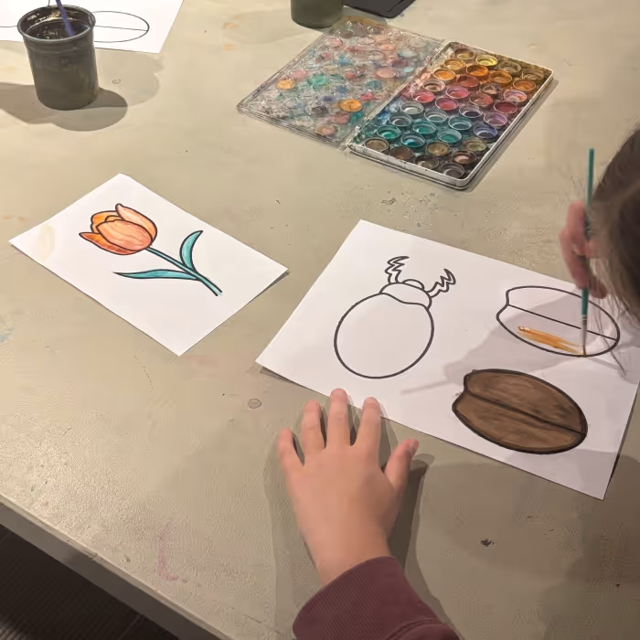 child drawing flowers and bugs. 