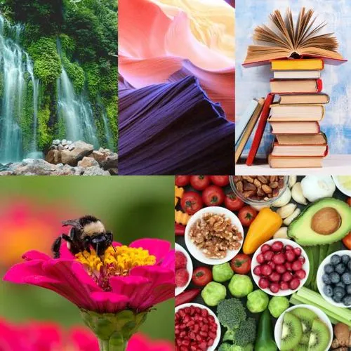 Colorful collage: waterfall, books, flowers, and fruit