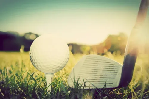 The Golffarm - Photo 3