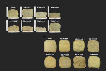 Farinha de sementes de girassol se destaca como alternativa nutritiva e sustentável à farinha de trigo