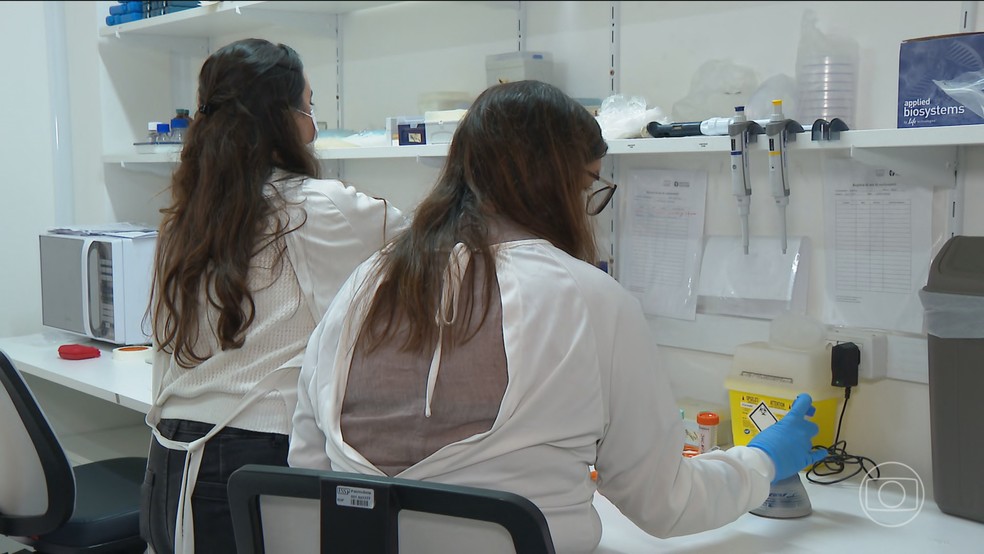Incertezas sobre vistos afetam pesquisa e ciência no Brasil, enquanto oportunidades emergem em instituições locais