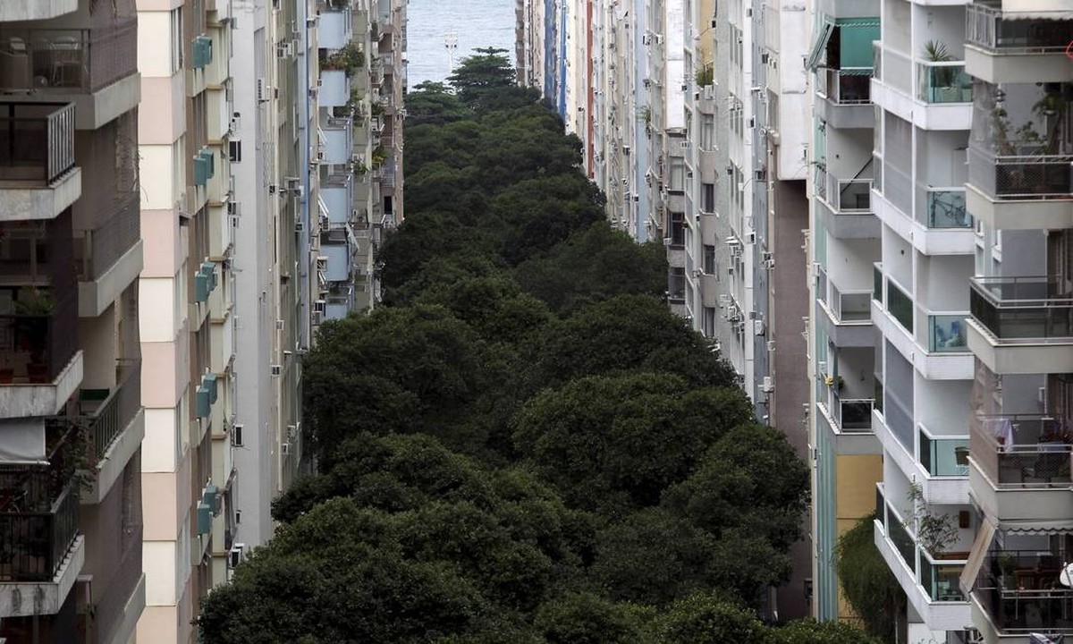 Câmara do Rio aprova tombamento de conjunto arbóreo na Rua Santa Clara para proteção ambiental e cultural