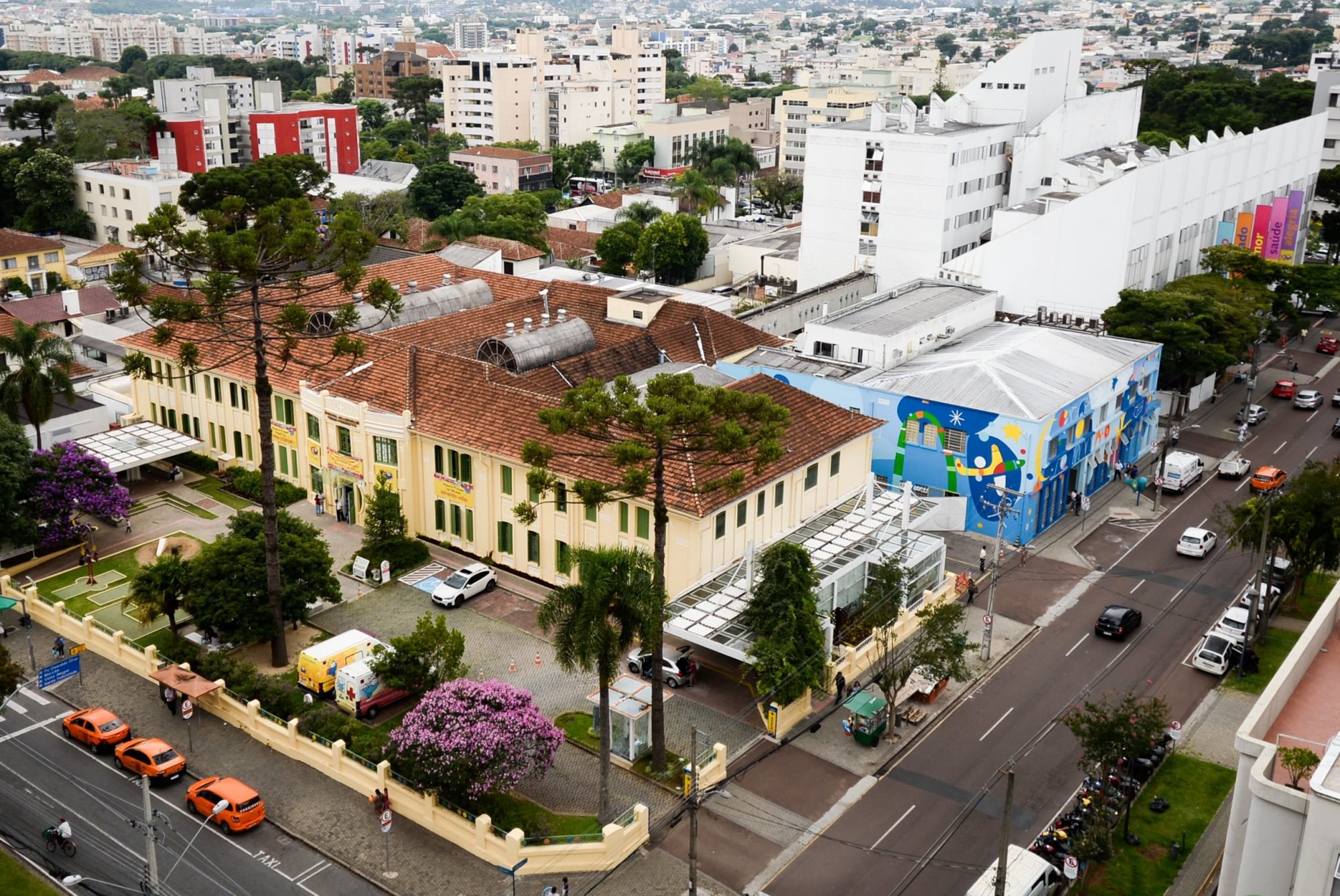 Pequeno Príncipe se torna o primeiro hospital do Brasil a adquirir créditos de biodiversidade e inspira ações sustentáveis