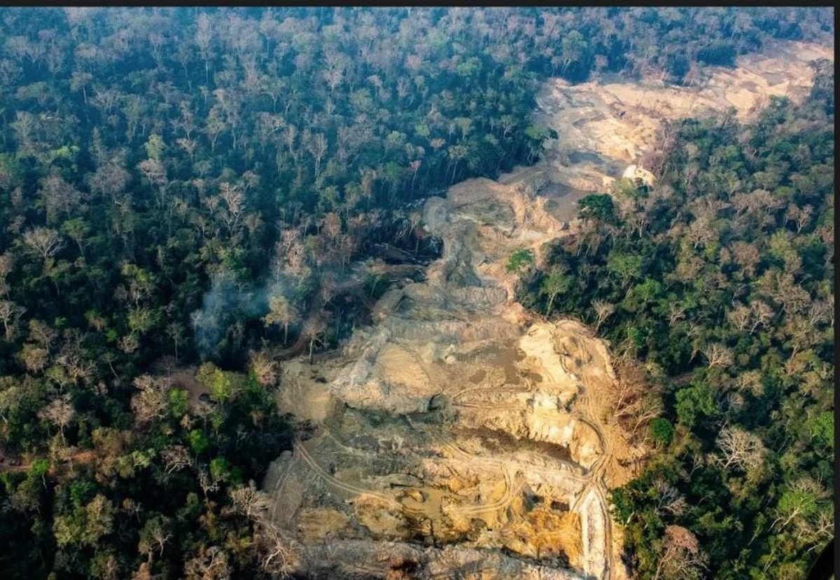 Garimpo ilegal na Amazônia expõe graves violações de direitos humanos e violência contra comunidades indígenas